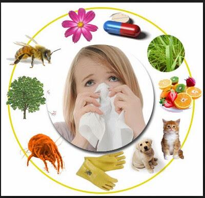 Las alergias