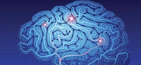 Neuronas digitales permitirían estudiar sistema nervioso