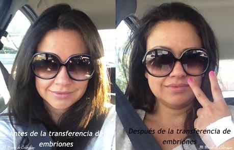 la historia de mi fiv