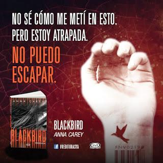 Reseña - BlackBird....Perseguida