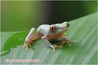 Guía de Viaje a Costa Rica