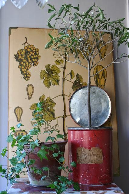 ¿Arte o botánica?