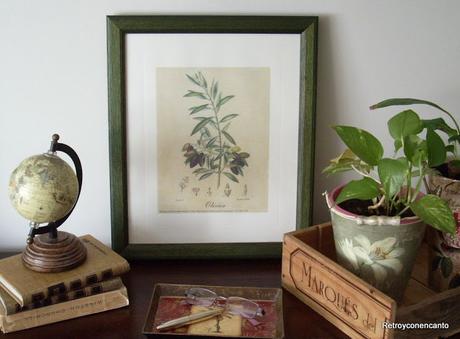 ¿Arte o botánica?