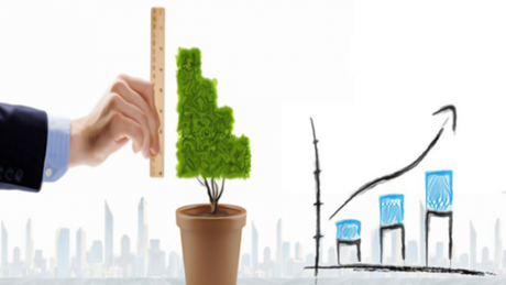 Tráfico orgánico para la agencia inmobiliaria.