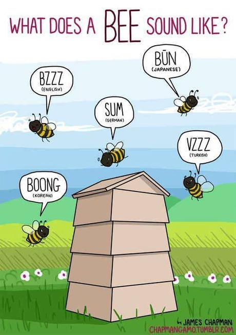 ZUMBIDO DE UNA ABEJA EN DISTINTOS IDIOMAS - BUZZING OF A BEE IN DIFFERENT LANGUGES.