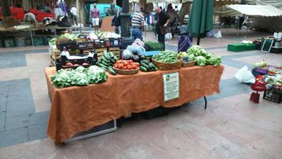 De la Cola del Paro al Huerto Ecológico