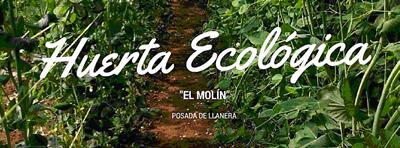 De la Cola del Paro al Huerto Ecológico