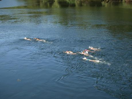 Ultra Ebre Swim Marathon. 15.000m