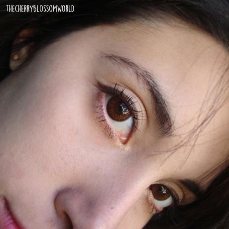 Review | Bunny Color Brown [KLENSPOP]