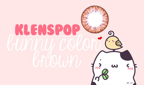 Review | Bunny Color Brown [KLENSPOP]