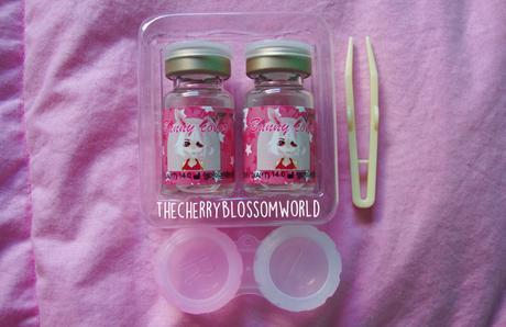 Review | Bunny Color Brown [KLENSPOP]