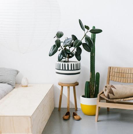 Será como estrenar casa. Será como estrenar casa.