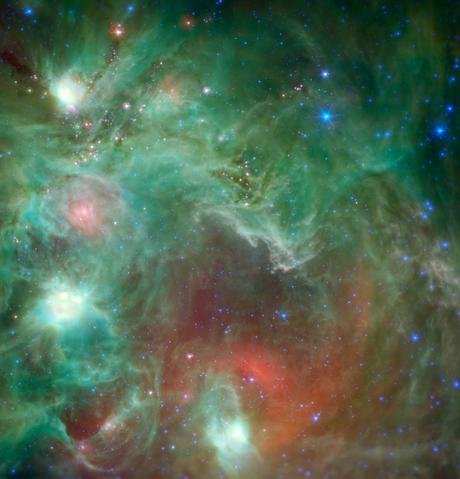 Más allá de la cabeza del Mono