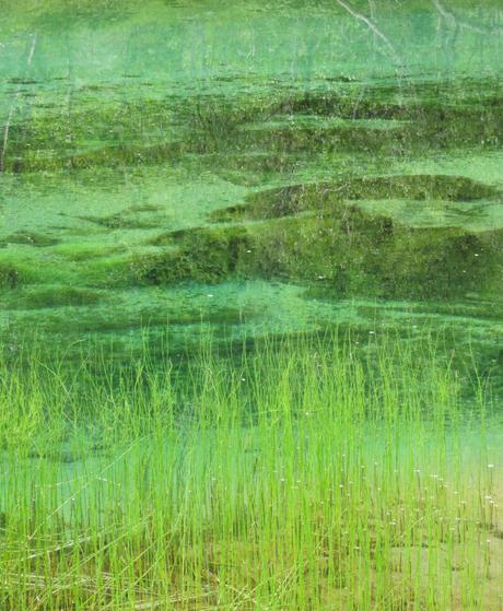 Miserias de viajero De vuelta junto a las desconcertantes aguas del Storskogelva