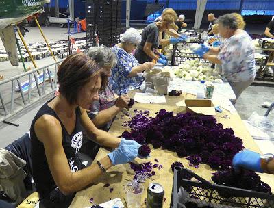 LA GRAN BATALLA DE FLORES DE LAREDO 2015