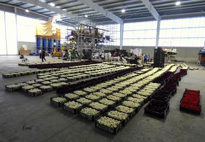 LA GRAN BATALLA DE FLORES DE LAREDO 2015