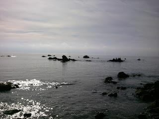 HELADO DE GANACHE DE CHOCOLATE CON NARANJA (Receta del chef Dani Moscugat)