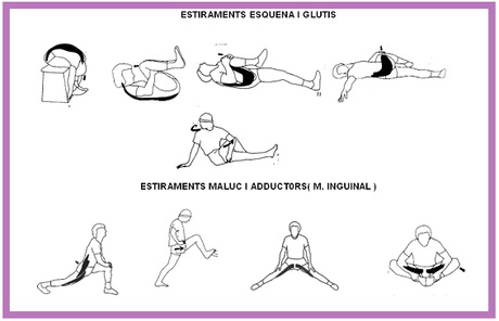Uno de los musculos mas importantes del corredor El Psoas