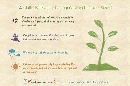 Child plant Montessori