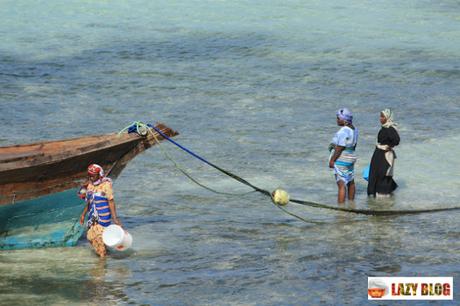 Novedades en Lazy blog y Curso de cocinero profesional en ESAH