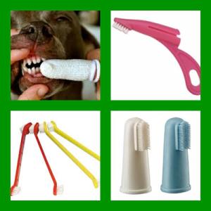 cepillo dental para perros