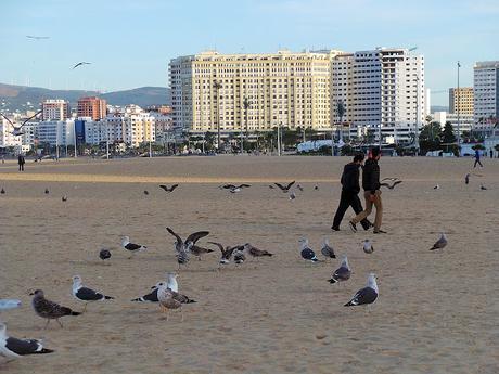 Tánger o la metamorfosis de una ciudad