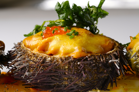 Gaztelubide, un clásico de 25 años que se renueva… al aire libre ERIZO DE MAR CON SU CORAL GLASEADO EN SALSA HOLANDESA