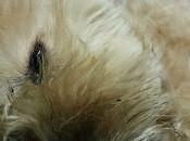 Estamos Agustito Anda, date vueltaaaa #funny