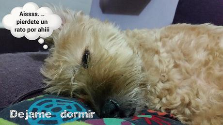 Estamos tan agustito