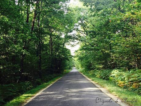 Road-trip por Francia: itinerario