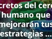 secretos cerebro humano mejorarán estrategias marketing