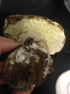 TAGLIATELLE CON SALSA DE CEPS Y NUECES