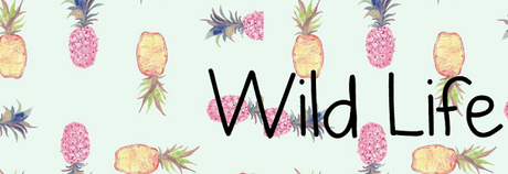 ¡Quiero conocer tu blog! | La estanteria de Abbie & Rosse | Wild Life