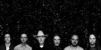 Swans