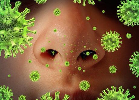 Viviendo con alergias de otoño