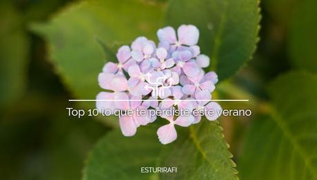 Top 10 lo que te perdiste este verano