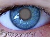 Como decíamos ayer.