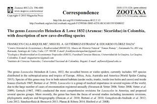 Nueva especie de araneido en cuevas de Colombia