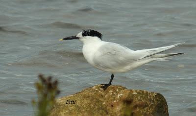 ¡¡FELIZ POSTNUPCIAL!!