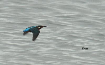 ¡¡FELIZ POSTNUPCIAL!!