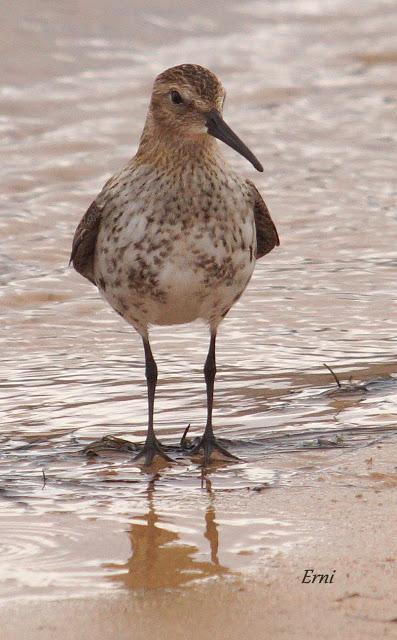 ¡¡FELIZ POSTNUPCIAL!!
