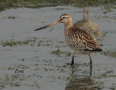 ¡¡FELIZ POSTNUPCIAL!!