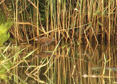 ¡¡FELIZ POSTNUPCIAL!!