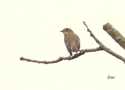 ¡¡FELIZ POSTNUPCIAL!!