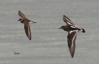 ¡¡FELIZ POSTNUPCIAL!!