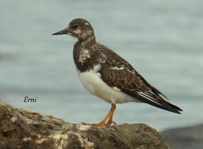 ¡¡FELIZ POSTNUPCIAL!!