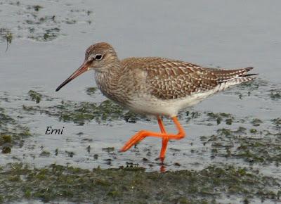 ¡¡FELIZ POSTNUPCIAL!!