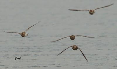 ¡¡FELIZ POSTNUPCIAL!!