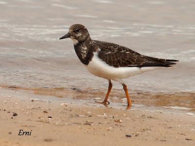 ¡¡FELIZ POSTNUPCIAL!!