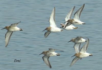 ¡¡FELIZ POSTNUPCIAL!!